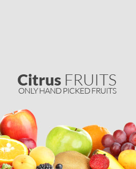 fruits1